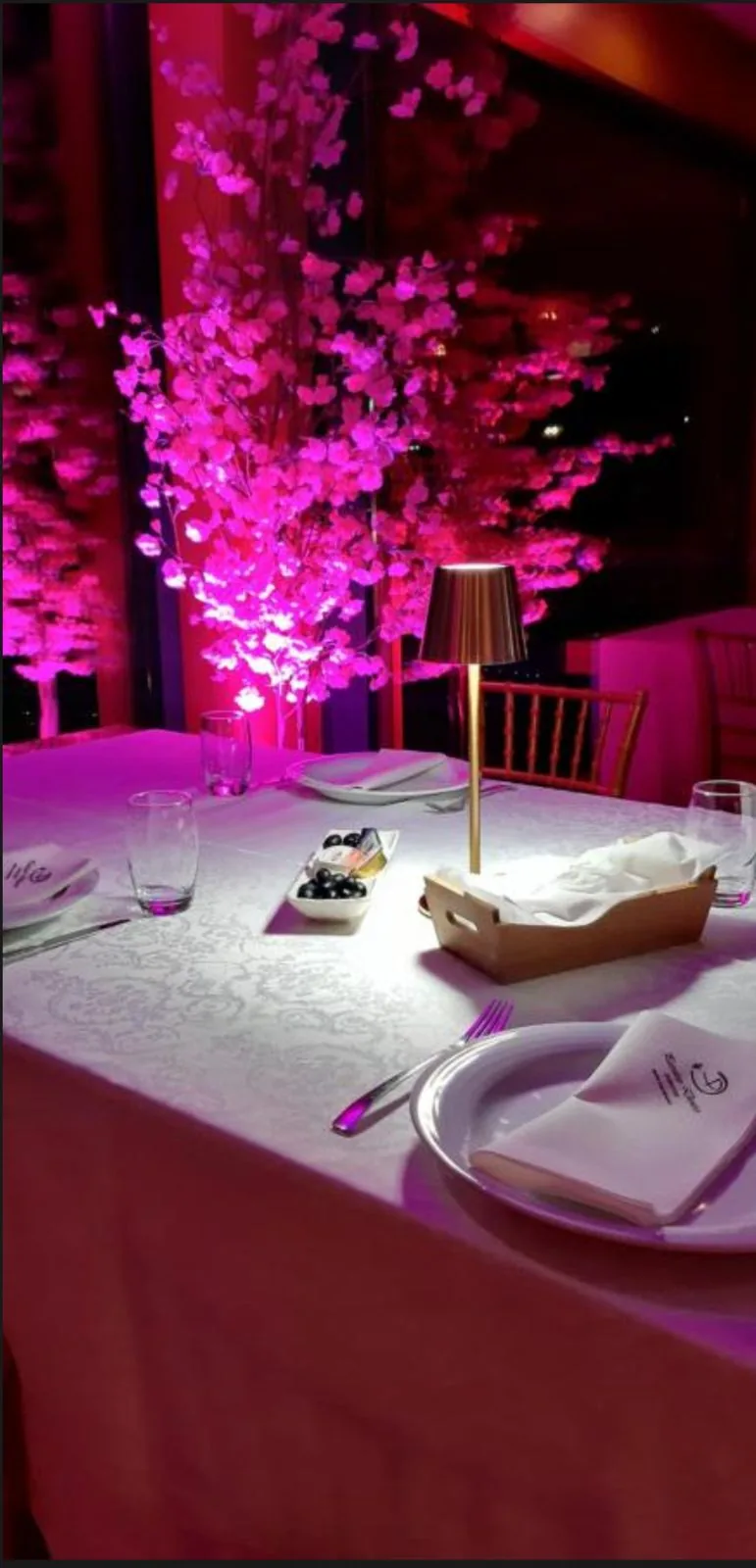 Mesa posta no restaurante Paraíso Douro com cerejeiras iluminadas e azeitonas de boas-vindas
